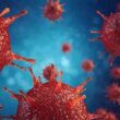 Corona virus