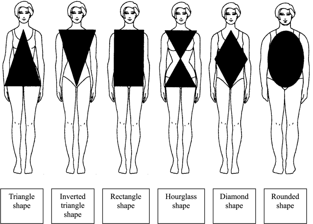 Image that shows various body types
